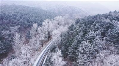 AI医疗须防“自动化偏见”